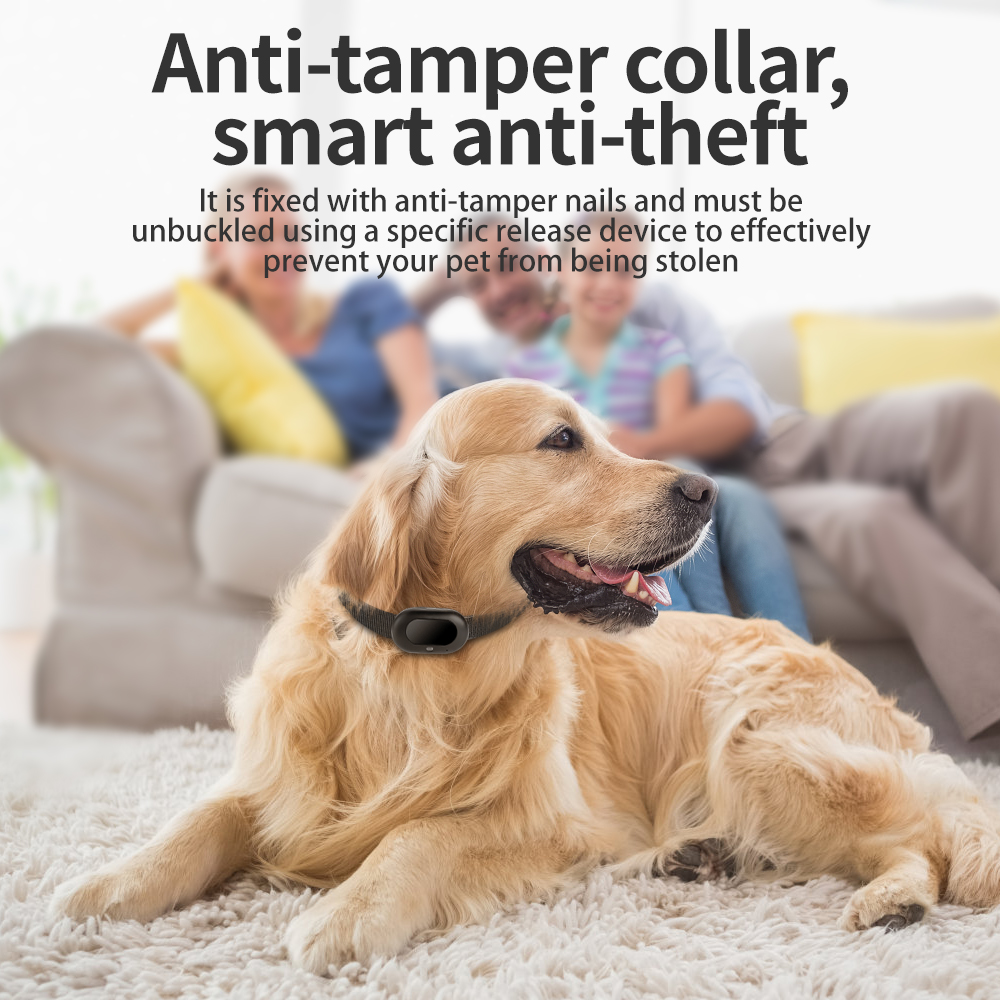 H21 4G Pet GPS Tracker